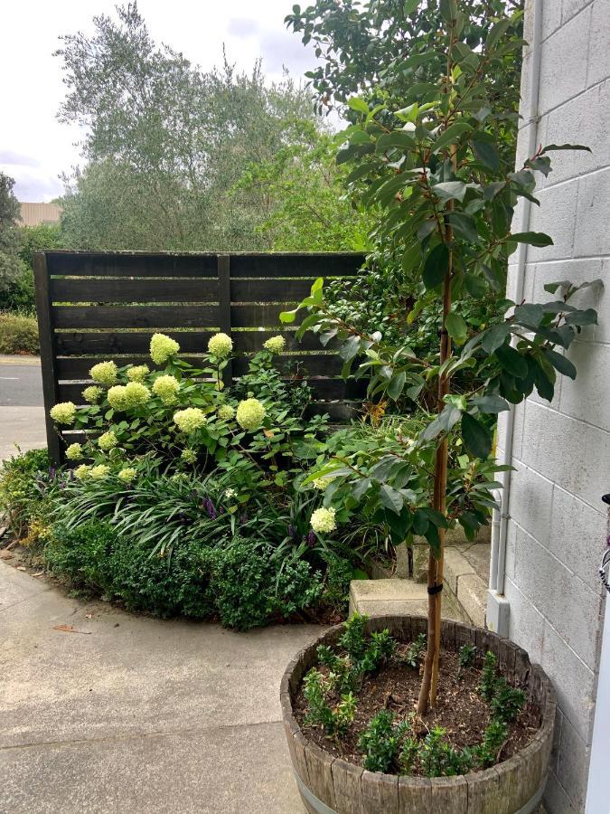 Garden Studio Lägenhet Havelock North Exteriör bild